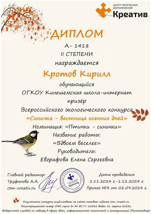 Диплом за 2 место во Всероссийском конкурсе &quot;Синичка - вестница осенних дней&quot;.