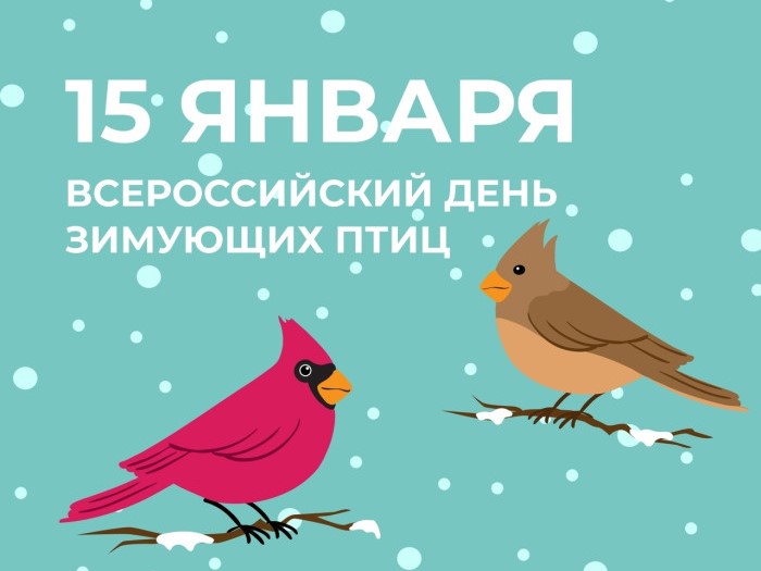 День зимующих птиц в России. Акция «Покормите птиц!».